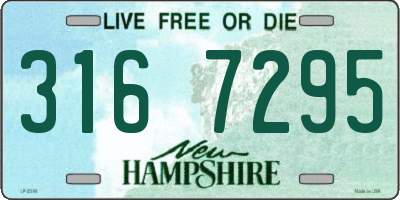 NH license plate 3167295