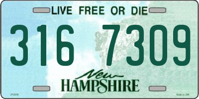 NH license plate 3167309