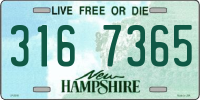 NH license plate 3167365