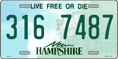 NH license plate 3167487