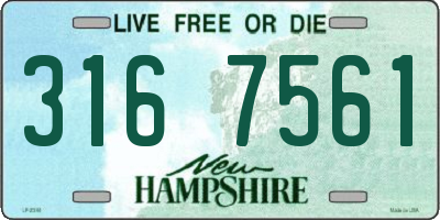 NH license plate 3167561