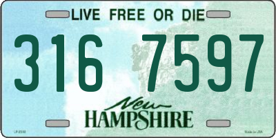 NH license plate 3167597