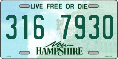 NH license plate 3167930