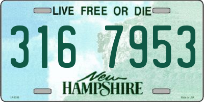 NH license plate 3167953