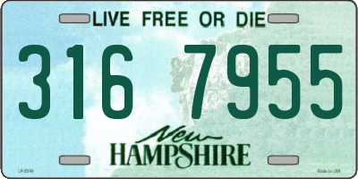 NH license plate 3167955
