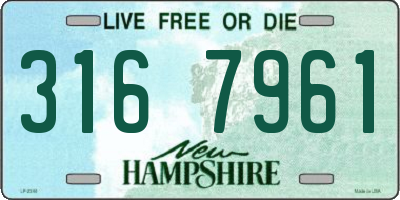 NH license plate 3167961