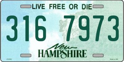 NH license plate 3167973