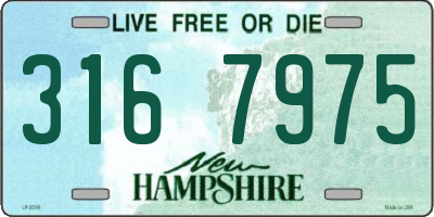 NH license plate 3167975