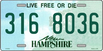 NH license plate 3168036