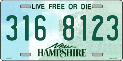 NH license plate 3168123