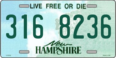 NH license plate 3168236