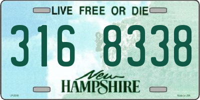 NH license plate 3168338