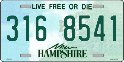 NH license plate 3168541
