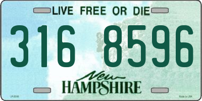 NH license plate 3168596