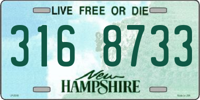 NH license plate 3168733