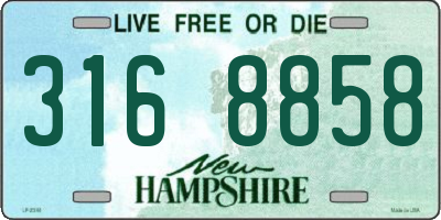NH license plate 3168858