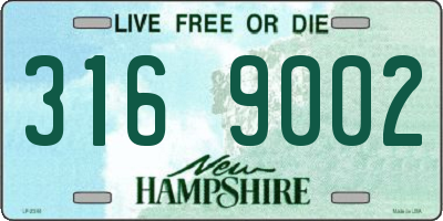 NH license plate 3169002