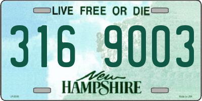 NH license plate 3169003