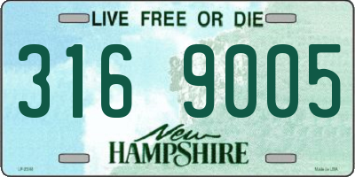 NH license plate 3169005