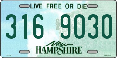 NH license plate 3169030
