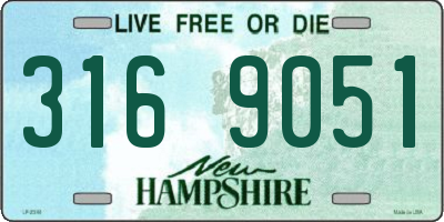 NH license plate 3169051