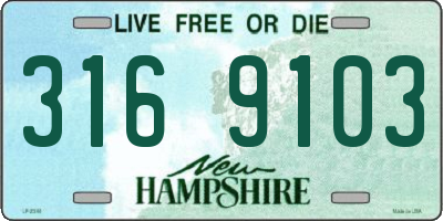 NH license plate 3169103