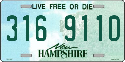 NH license plate 3169110