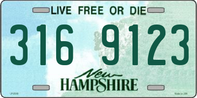 NH license plate 3169123