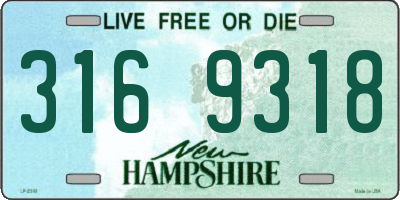 NH license plate 3169318