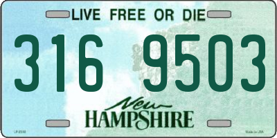 NH license plate 3169503