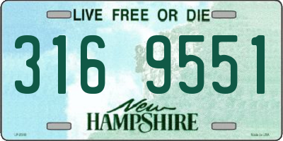 NH license plate 3169551