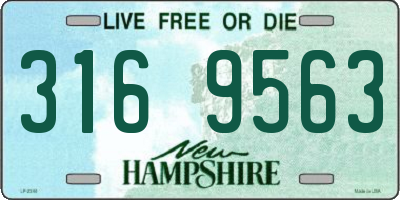 NH license plate 3169563