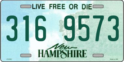 NH license plate 3169573