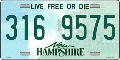 NH license plate 3169575