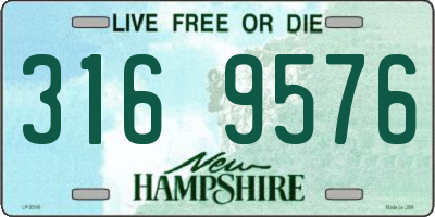 NH license plate 3169576
