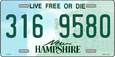 NH license plate 3169580