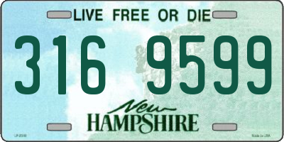 NH license plate 3169599