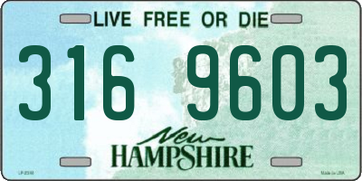 NH license plate 3169603