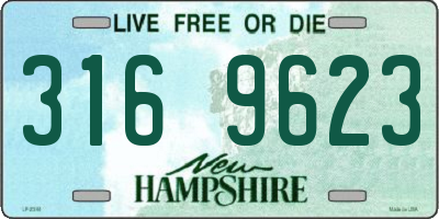 NH license plate 3169623
