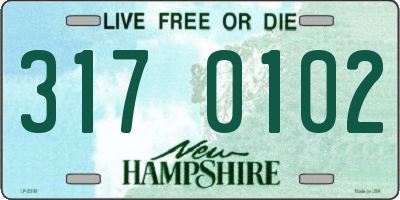 NH license plate 3170102