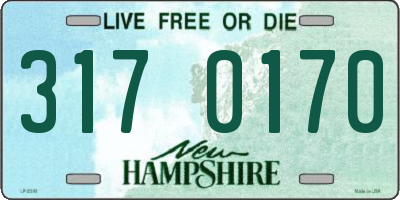 NH license plate 3170170