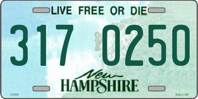 NH license plate 3170250