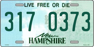NH license plate 3170373