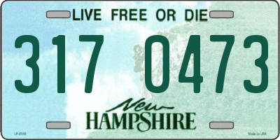 NH license plate 3170473