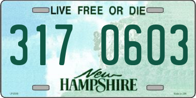 NH license plate 3170603