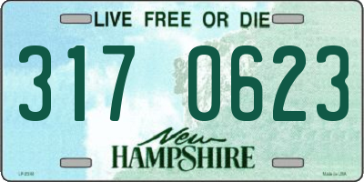 NH license plate 3170623