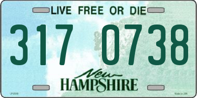 NH license plate 3170738