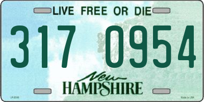 NH license plate 3170954