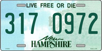 NH license plate 3170972