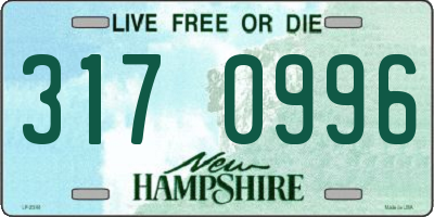 NH license plate 3170996